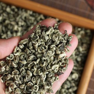 Wholesale 500g Single Bud Green Snail Spring (Biluochun) Yunnan Green Tea | Bustan.store