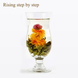 20 Pieces Blooming Tea Flowers (Rising step by step) | Bustan.store